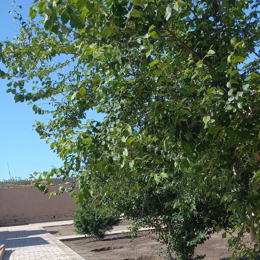 B&B, Khiva ,, Abdullah " In Ichan Kala Екстериор снимка
